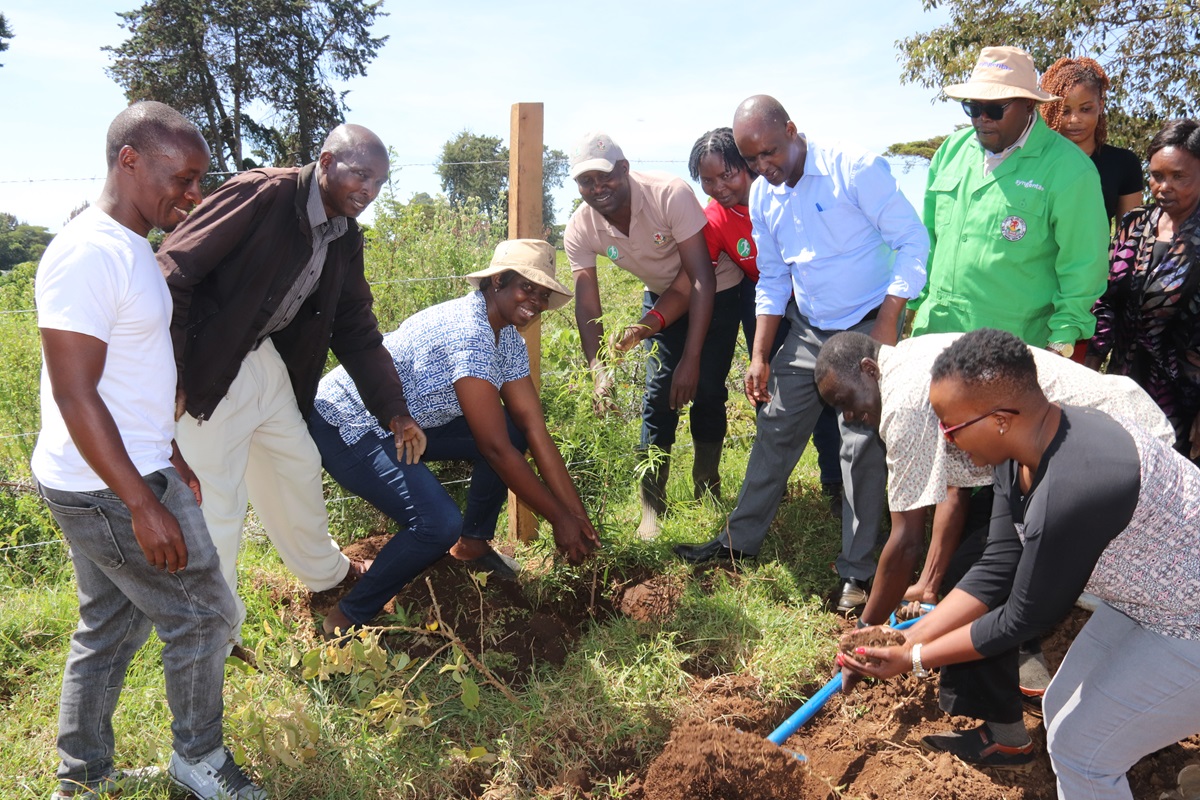 Directorate of Research Champions Tree Planting Drive at Egerton University