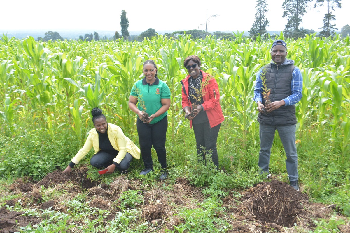 Egerton University Steps Up in Environmental Conservation with Tree Planting and Mau Campaign