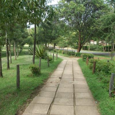 39314 1474174808042 4623240 N